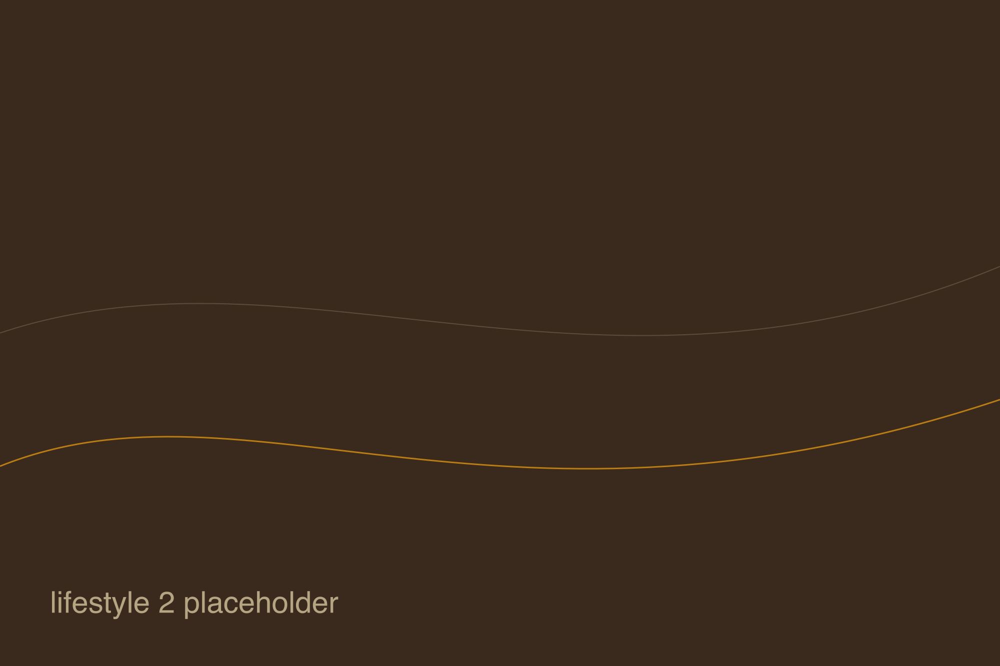 Placeholder frame for lifestyle photo 2