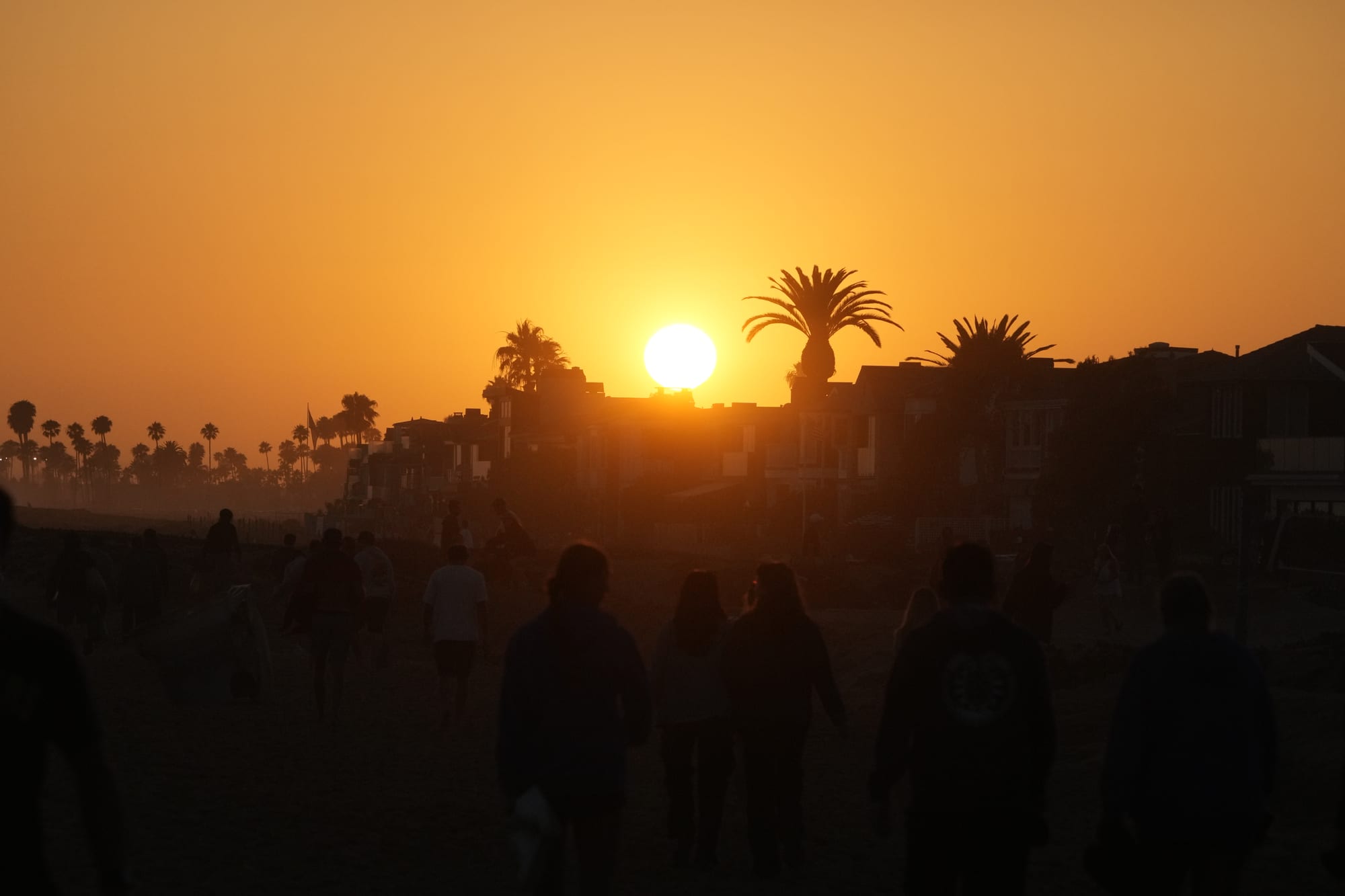 Crowd watching the sun set over the point